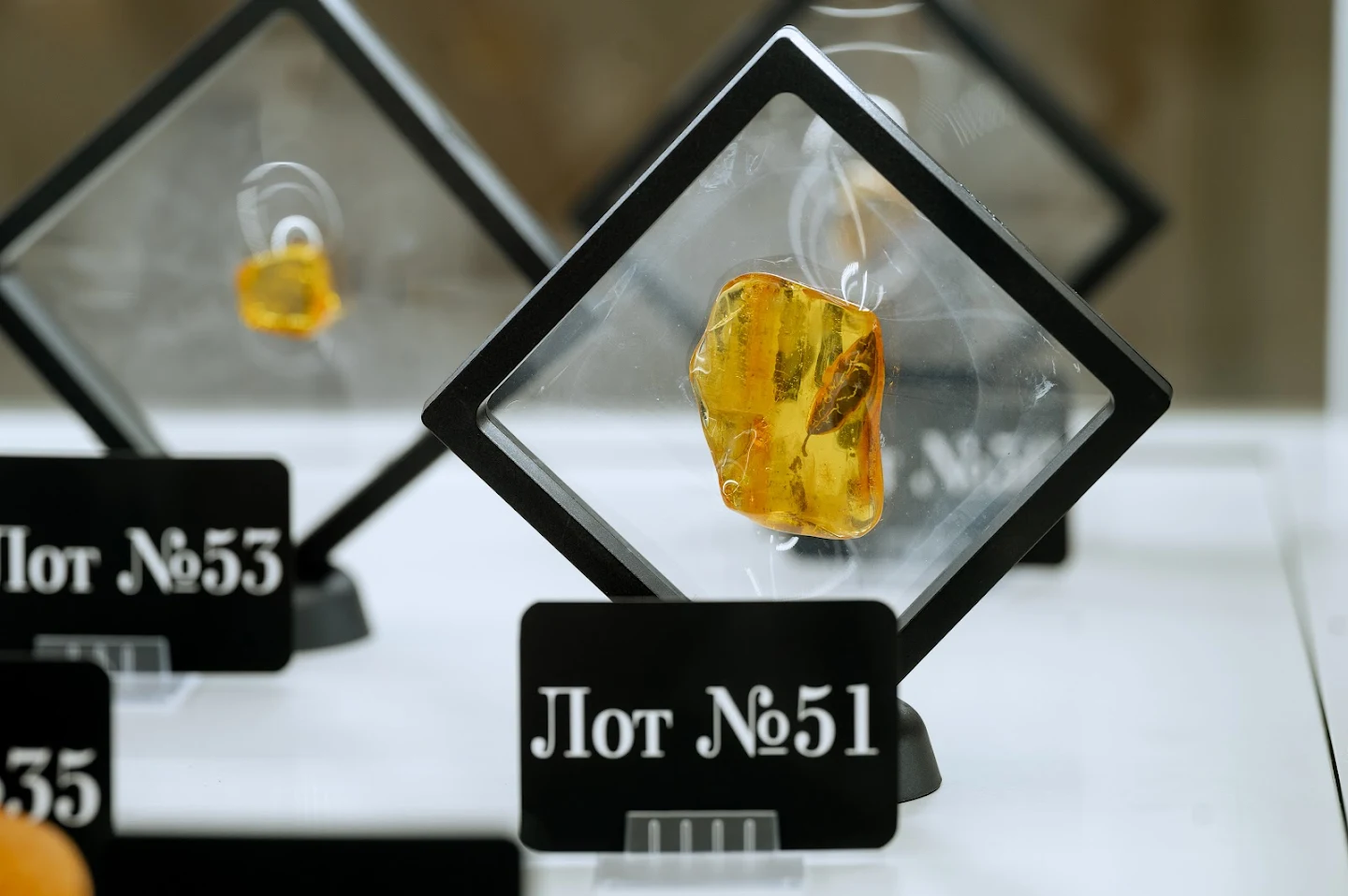Инклюз с фрагментом доисторического листочка во время аукциона на AmberForum 2024 подорожал в 20 раз 