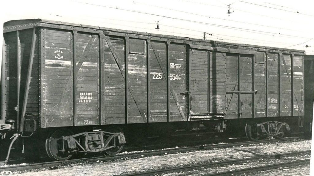scale_1200.jpg