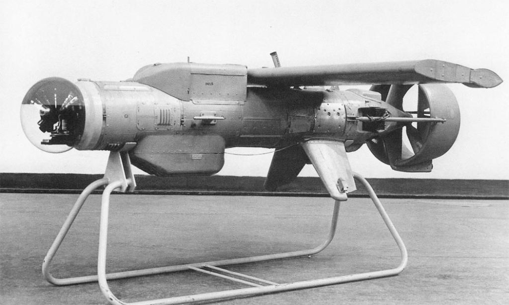 pchela1t-2.jpg