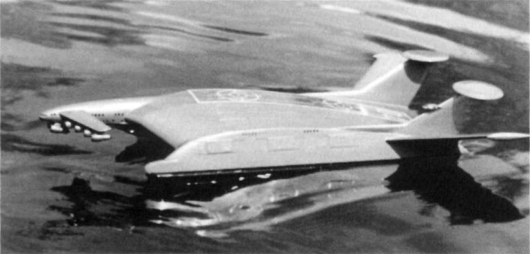 19303978.jpg