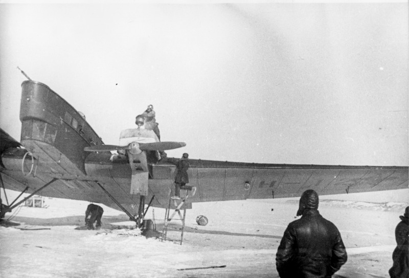 ANT-4_45937353.jpg