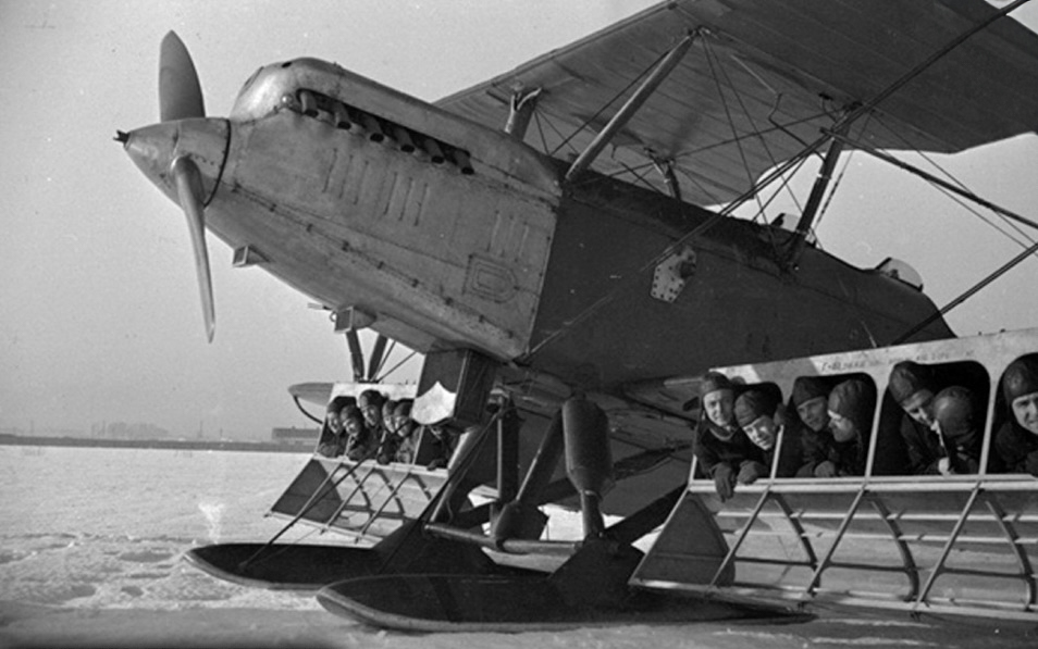 scale_1200.jpg