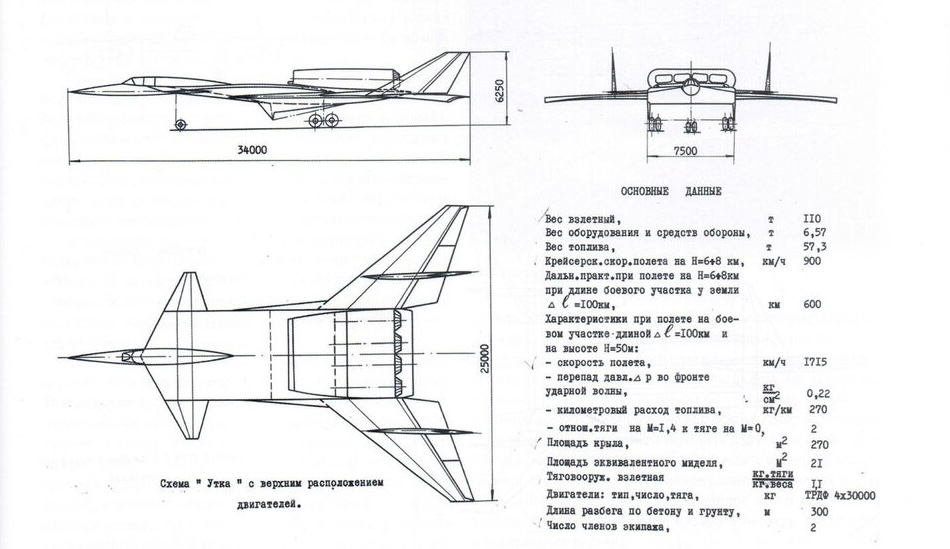 scale_1200 (1).jpeg