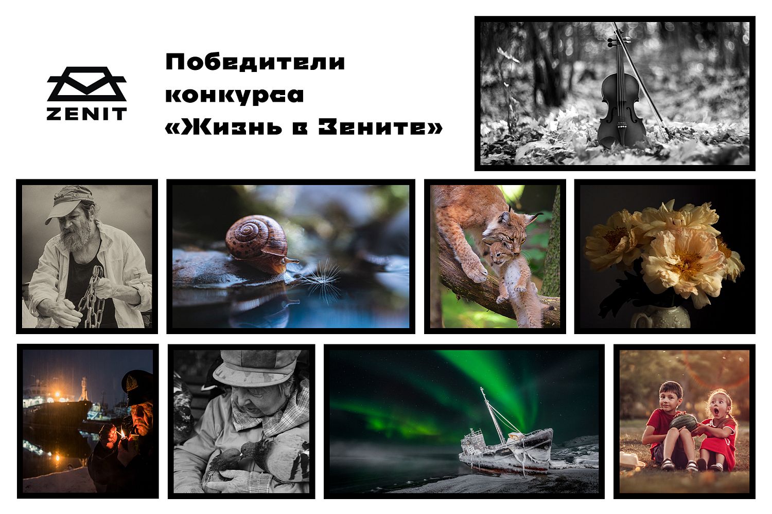 «Швабе» объявил победителей конкурса фотографии «Жизнь в Зените II»